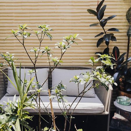Casa Pani Ξενοδοχείο Μεξικό Εξωτερικό φωτογραφία